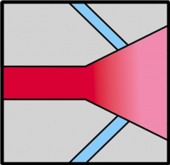 EXOINDIA